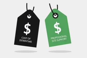 🛠️ مقایسه هزینه پشتیبانی حرفه‌ای سایت با هزینه‌ های ناشی از خرابی